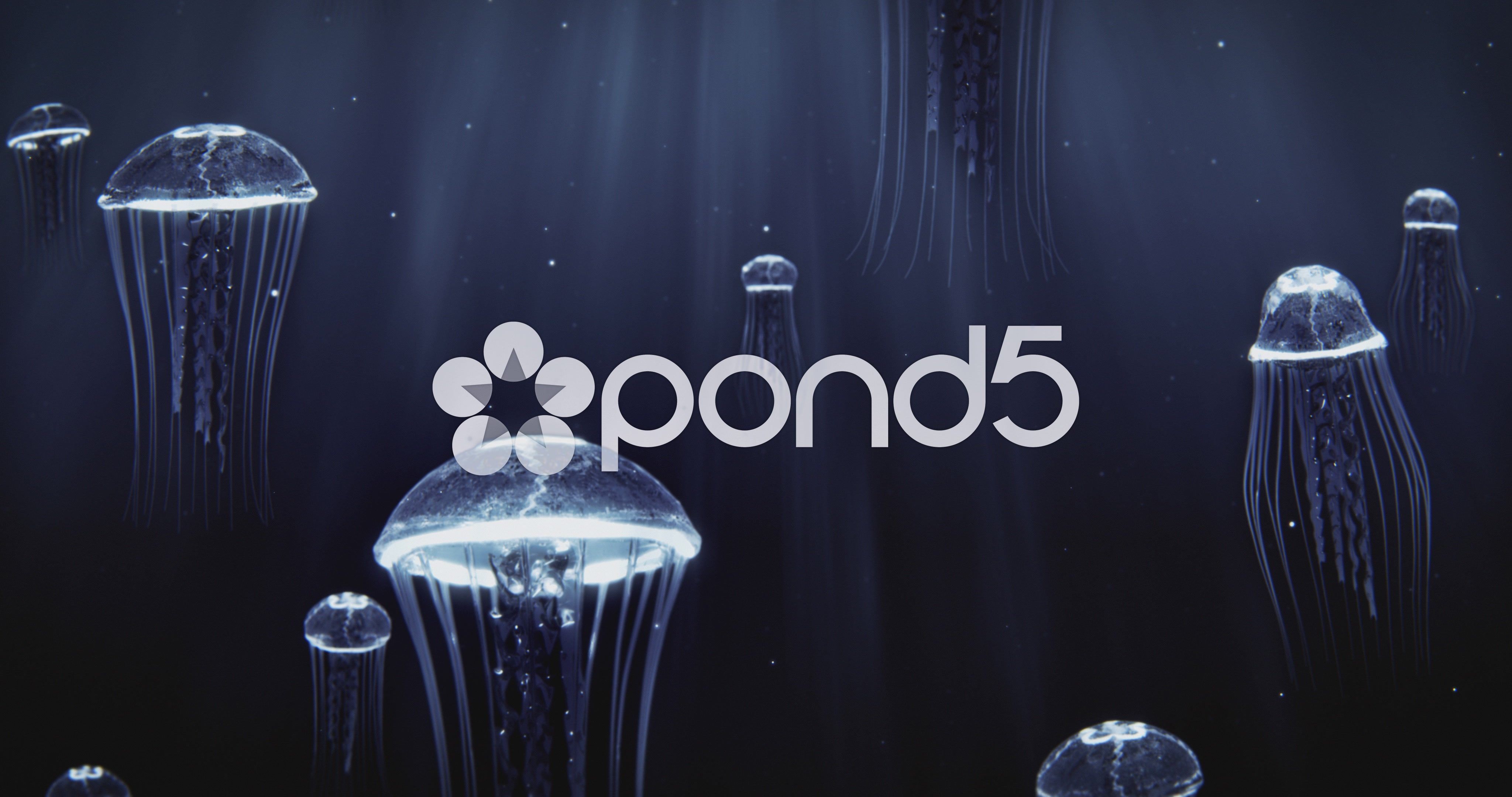 как оплачивать Pond5 из России